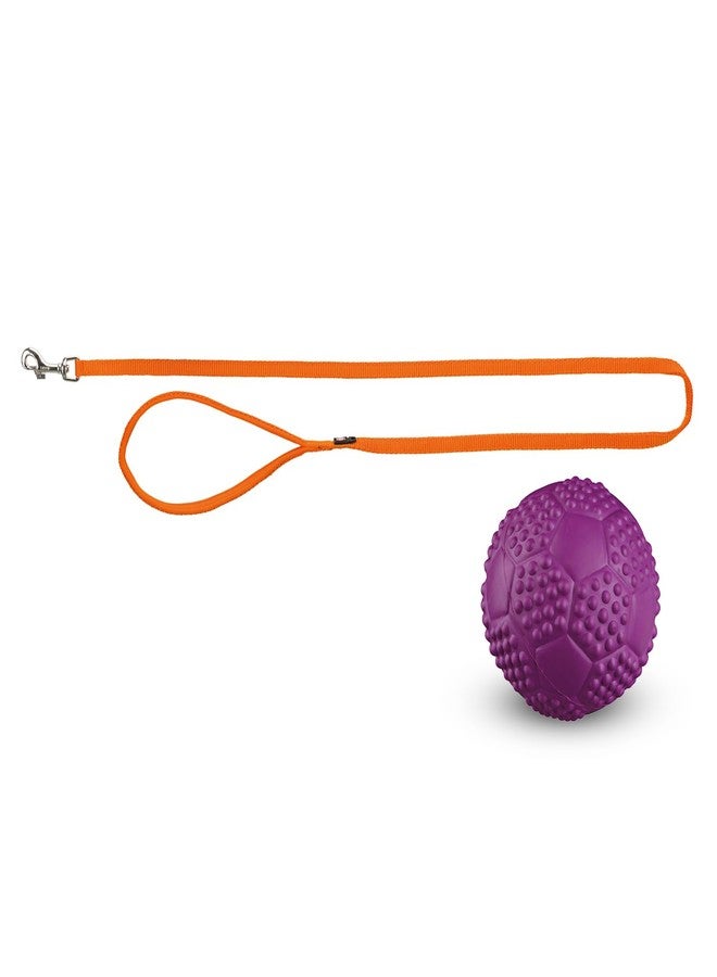 Trixie Combo of Trixie Premium Nylon Adjustable Dog Leash with Stainless Steel Hooks - L-XL (1.00m/25mm Papaya Color) and Sports Ball Natural Rubber Toy for Dog - Image 1